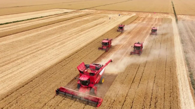 8188cc威尼斯(中国)有限公司官网