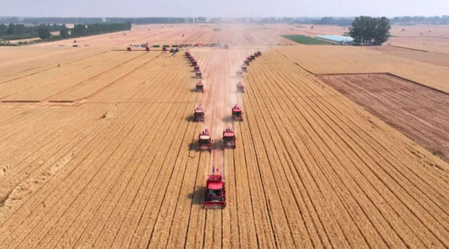 8188cc威尼斯(中国)有限公司官网