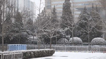 8188cc威尼斯(中国)有限公司官网